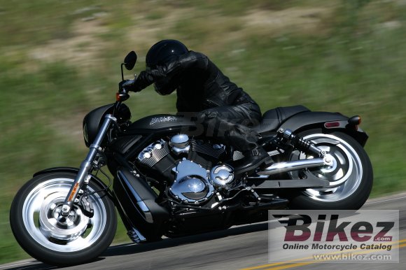 2006 Harley-Davidson VRSCD Night Rod photo